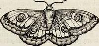 Picture 44 of 55 from (Band 2) (1683), leaf 122