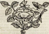 An illustration from (Band 2) (1683)