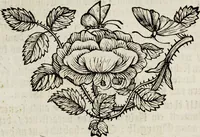 An illustration from (Band 2) (1683)