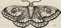 An illustration from (Band 2) (1683)