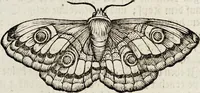 Picture 8 of 55 from (Band 2) (1683), leaf 23