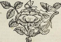 Picture 27 of 55 from (Band 2) (1683), leaf 74