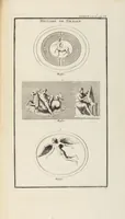 Picture 38 of 108 from (Band 1,1): Les dieux des Grecs & des Romain: Les Dieux du premier, du second & du troisiéme rang, selon l'ordre du tems (1719), leaf 269