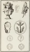 Picture 19 of 99 from (Band 1,2): Les Dieux des Grecs & des Romains: Les Heros parvenus à la Divinité (1719), leaf 79