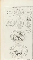 An illustration from (Band 2,2): La Religion des Egyptiens, des Arabes, des Syriens, des Perses, des Scythes, des Germains, des Gaulois, des Espagnols & des Carthaginois (1719)