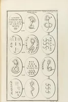 An illustration from (Band 2,2): La Religion des Egyptiens, des Arabes, des Syriens, des Perses, des Scythes, des Germains, des Gaulois, des Espagnols & des Carthaginois (1719)