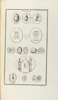 An illustration from (Band 2,2): La Religion des Egyptiens, des Arabes, des Syriens, des Perses, des Scythes, des Germains, des Gaulois, des Espagnols & des Carthaginois (1719)