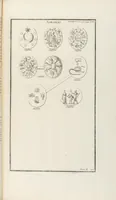 An illustration from (Band 2,2): La Religion des Egyptiens, des Arabes, des Syriens, des Perses, des Scythes, des Germains, des Gaulois, des Espagnols & des Carthaginois (1719)