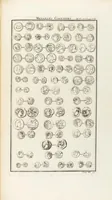 Picture 46 of 105 from (Band 3,1): L' Antiquité Expliquée Et Représentée En Figures: Les Usages de la vie; Tome Troisieme Premiere Partie, leaf 203