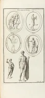 Picture 30 of 67 from (Band 3,2): L' Antiquité Expliquée Et Représentée En Figures: Les Usages de la vie; Tome Troisieme Seconde Partie, leaf 140