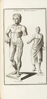 Picture 31 of 67 from (Band 3,2): L' Antiquité Expliquée Et Représentée En Figures: Les Usages de la vie; Tome Troisieme Seconde Partie, leaf 150