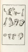 Picture 45 of 67 from (Band 3,2): L' Antiquité Expliquée Et Représentée En Figures: Les Usages de la vie; Tome Troisieme Seconde Partie, leaf 204