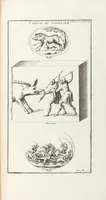 Picture 51 of 67 from (Band 3,2): L' Antiquité Expliquée Et Représentée En Figures: Les Usages de la vie; Tome Troisieme Seconde Partie, leaf 253