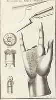 Picture 67 of 67 from (Band 3,2): L' Antiquité Expliquée Et Représentée En Figures: Les Usages de la vie; Tome Troisieme Seconde Partie, leaf 333