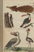 An illustration from (Band 2) (1795)
