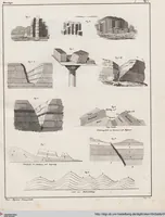 Picture 12 of 167 from Abbildungen zu Oken's Allgemeiner Naturgeschichte für alle Stände (1843), leaf 165
