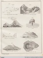Picture 13 of 167 from Abbildungen zu Oken's Allgemeiner Naturgeschichte für alle Stände (1843), leaf 169