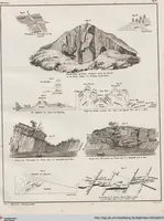 Picture 14 of 167 from Abbildungen zu Oken's Allgemeiner Naturgeschichte für alle Stände (1843), leaf 170