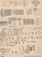Picture 15 of 167 from Abbildungen zu Oken's Allgemeiner Naturgeschichte für alle Stände (1843), leaf 171