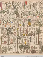 Picture 23 of 167 from Abbildungen zu Oken's Allgemeiner Naturgeschichte für alle Stände (1843), leaf 182