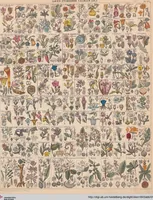 Picture 26 of 167 from Abbildungen zu Oken's Allgemeiner Naturgeschichte für alle Stände (1843), leaf 185