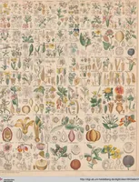 Picture 29 of 167 from Abbildungen zu Oken's Allgemeiner Naturgeschichte für alle Stände (1843), leaf 188