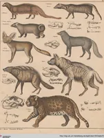 An illustration from Abbildungen zu Oken's Allgemeiner Naturgeschichte für alle Stände (1843)