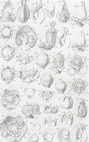Picture 21 of 91 from (Band 2): Atlas (1857), leaf 44