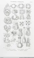 Picture 23 of 91 from (Band 2): Atlas (1857), leaf 48