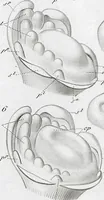 Picture 26 of 91 from (Band 2): Atlas (1857), leaf 51