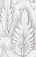 Picture 40 of 91 from (Band 2): Atlas (1857), leaf 72