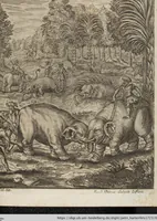 An illustration from D. Georg. Christoph. Petri ab Hartenfelß/ Consiliarii Et Archiatri Moguntini &c. &c. Elephantographia Curiosa: Cui Accessit Ejusdem Auctoris Oratio Panegyrica De Elephantis, Publice In Actu Doctorali Erfordiæ Habita; Nec Non Justi Lipsii Epistola De Eodem Argumento Erudite Conscripta: In Fine Adjectus Est Index Rerum Notabilium Locupletissimus