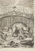 An illustration from D. Georg. Christoph. Petri ab Hartenfelß/ Consiliarii Et Archiatri Moguntini &c. &c. Elephantographia Curiosa: Cui Accessit Ejusdem Auctoris Oratio Panegyrica De Elephantis, Publice In Actu Doctorali Erfordiæ Habita; Nec Non Justi Lipsii Epistola De Eodem Argumento Erudite Conscripta: In Fine Adjectus Est Index Rerum Notabilium Locupletissimus
