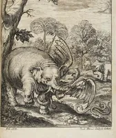 An illustration from D. Georg. Christoph. Petri ab Hartenfelß/ Consiliarii Et Archiatri Moguntini &c. &c. Elephantographia Curiosa: Cui Accessit Ejusdem Auctoris Oratio Panegyrica De Elephantis, Publice In Actu Doctorali Erfordiæ Habita; Nec Non Justi Lipsii Epistola De Eodem Argumento Erudite Conscripta: In Fine Adjectus Est Index Rerum Notabilium Locupletissimus