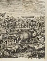 Picture 20 of 32 from D. Georg. Christoph. Petri ab Hartenfelß/ Consiliarii Et Archiatri Moguntini &c. &c. Elephantographia Curiosa: Cui Accessit Ejusdem Auctoris Oratio Panegyrica De Elephantis, Publice In Actu Doctorali Erfordiæ Habita; Nec Non Justi Lipsii Epistola De Eodem Argumento Erudite Conscripta: In Fine Adjectus Est Index Rerum Notabilium Locupletissimus, leaf 201