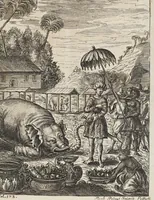 Picture 23 of 32 from D. Georg. Christoph. Petri ab Hartenfelß/ Consiliarii Et Archiatri Moguntini &c. &c. Elephantographia Curiosa: Cui Accessit Ejusdem Auctoris Oratio Panegyrica De Elephantis, Publice In Actu Doctorali Erfordiæ Habita; Nec Non Justi Lipsii Epistola De Eodem Argumento Erudite Conscripta: In Fine Adjectus Est Index Rerum Notabilium Locupletissimus, leaf 249