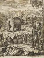 An illustration from D. Georg. Christoph. Petri ab Hartenfelß/ Consiliarii Et Archiatri Moguntini &c. &c. Elephantographia Curiosa: Cui Accessit Ejusdem Auctoris Oratio Panegyrica De Elephantis, Publice In Actu Doctorali Erfordiæ Habita; Nec Non Justi Lipsii Epistola De Eodem Argumento Erudite Conscripta: In Fine Adjectus Est Index Rerum Notabilium Locupletissimus