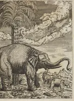 An illustration from D. Georg. Christoph. Petri ab Hartenfelß/ Consiliarii Et Archiatri Moguntini &c. &c. Elephantographia Curiosa: Cui Accessit Ejusdem Auctoris Oratio Panegyrica De Elephantis, Publice In Actu Doctorali Erfordiæ Habita; Nec Non Justi Lipsii Epistola De Eodem Argumento Erudite Conscripta: In Fine Adjectus Est Index Rerum Notabilium Locupletissimus