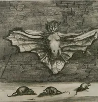 An illustration from Prodomo Apologetico alli Studi Chircheriani: Opera di Gioseffo Petrucci ..., Nella quale con un'apparato di Saggi diversi, si dà prova dell'esquisito Studio ha tenuto ... Atanasio Chircher, Circa il credere all'opinioni degli Scrittori ... (1677)