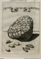 Picture 6 of 26 from Prodomo Apologetico alli Studi Chircheriani: Opera di Gioseffo Petrucci ..., Nella quale con un'apparato di Saggi diversi, si dà prova dell'esquisito Studio ha tenuto ... Atanasio Chircher, Circa il credere all'opinioni degli Scrittori ... (1677), leaf 112