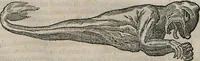 An illustration from Prodomo Apologetico alli Studi Chircheriani: Opera di Gioseffo Petrucci ..., Nella quale con un'apparato di Saggi diversi, si dà prova dell'esquisito Studio ha tenuto ... Atanasio Chircher, Circa il credere all'opinioni degli Scrittori ... (1677)