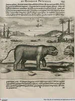 An illustration from Prodomo Apologetico alli Studi Chircheriani: Opera di Gioseffo Petrucci ..., Nella quale con un'apparato di Saggi diversi, si dà prova dell'esquisito Studio ha tenuto ... Atanasio Chircher, Circa il credere all'opinioni degli Scrittori ... (1677)