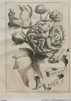 An illustration from Prodomo Apologetico alli Studi Chircheriani: Opera di Gioseffo Petrucci ..., Nella quale con un'apparato di Saggi diversi, si dà prova dell'esquisito Studio ha tenuto ... Atanasio Chircher, Circa il credere all'opinioni degli Scrittori ... (1677)