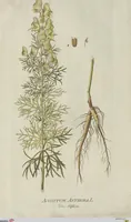 An illustration from (Centuria V.) (1792)