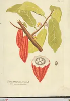 An illustration from (Centuria VI. Et Ultima.) (1794)