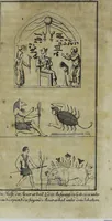 An illustration from (Band 1) (1740)