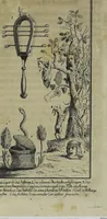 Picture 20 of 32 from (Band 1) (1740), leaf 321