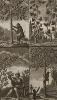 Picture 4 of 15 from Naturgeschichte für Kinder (1780), leaf 730