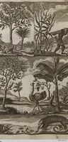 Picture 5 of 15 from Naturgeschichte für Kinder (1780), leaf 731