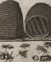 Picture 8 of 15 from Naturgeschichte für Kinder (1780), leaf 733